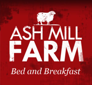 AMF_Logo_LR